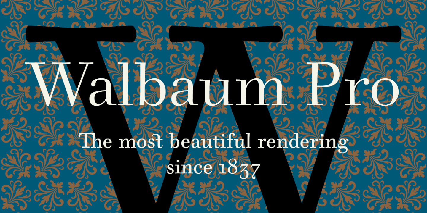Пример шрифта Walbaum 2010 Pro